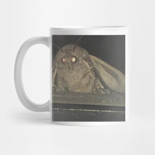 Moth meme Mug